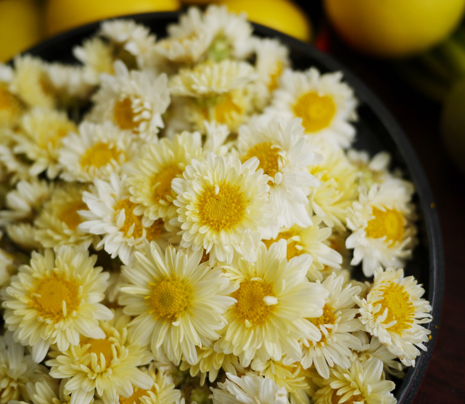 Chrysanthemum tea recipe: How to make chrysanthemum tea?