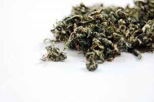 Mugwort Tea Leaf