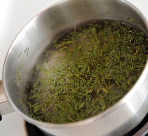 Pine Needle Tea Images