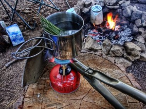 Pine Needle Tea Photos