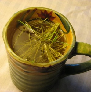 Pine Needle Tea Pictures