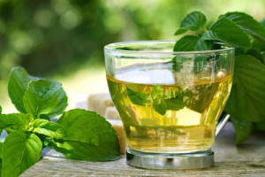 Spearmint Leaf Tea