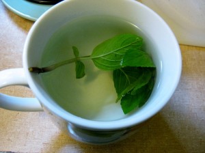 Spearmint Tea Images