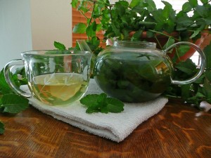 Spearmint Tea Photos