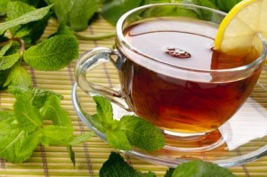 Catnip Tea Images