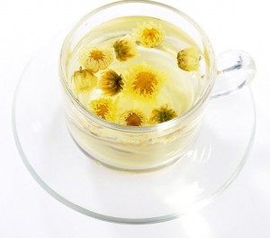 Chrysanthemum Tea