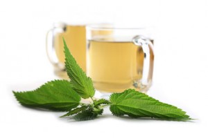 Nettle Leaf Tea