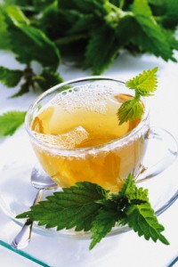 Nettle Tea Photos