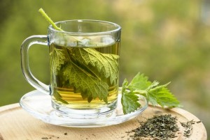 Nettle Tea Pictures