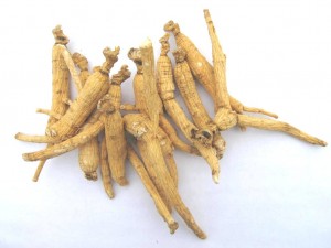 Ginseng Root