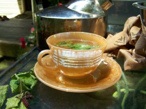 Mulberry Leaf Tea