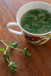 Chickweed Tea