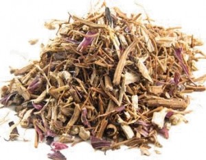 Echinacea Root