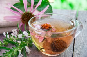 Echinacea Tea