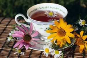 Echinacea Tea Pictures