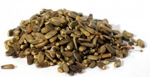 Milk Thistle Seed