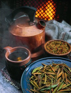 Labrador Tea Images