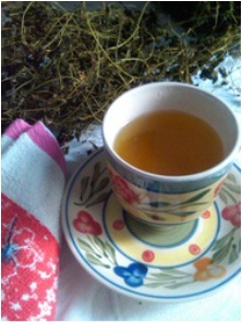 Cerasee Tea Pictures