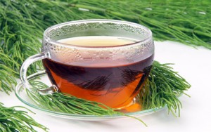 Horsetail Tea