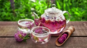 Red Clover Tea