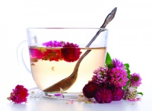 Red Clover Tea Pictures