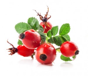 Rose Hip Fruits