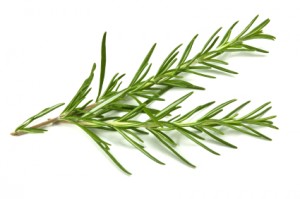 Rosemary Leaves