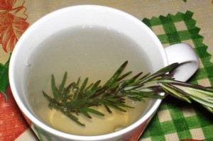 Rosemary Tea