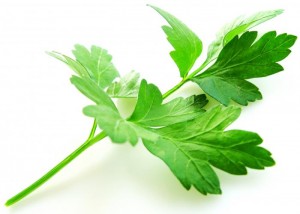 Parsley Leaves