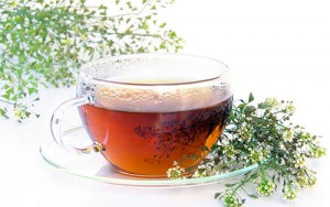 Yarrow Tea Images