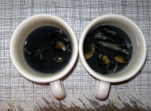 Mushroom Tea Images