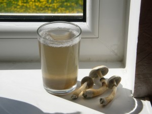 Mushroom Tea Pictures