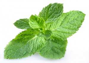 Peppermint Leaves