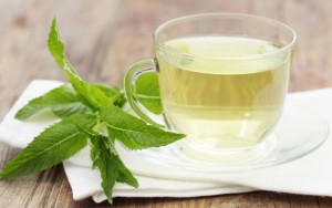 Peppermint Tea Images