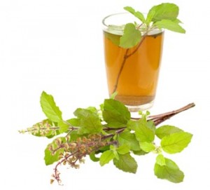 Tulsi Leaf Tea