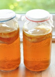 Kombucha Tea Images