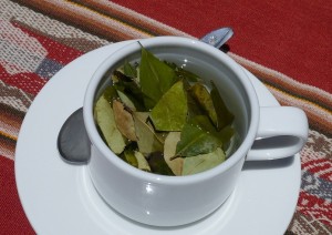 Coca Leaf Tea