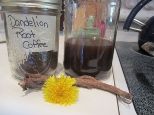 Dandelion Root Coffee