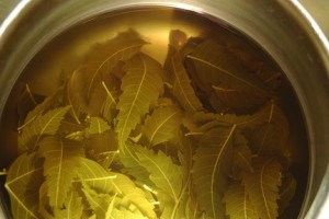 Neem Tea Images