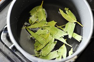 Eucalyptus Leaves Tea