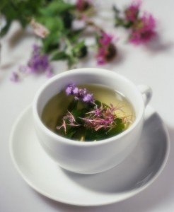 Skullcap Tea Pictures