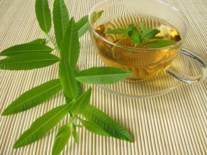 Lemon Verbena Tea Photos