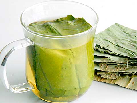 tea lotus leaf benefits herbalteasonline