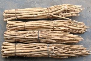 Astragalus Root