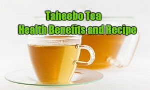 Taheebo Tea