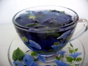 Blue Butterfly Pea Tea