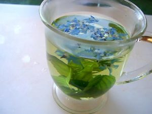 Borage Tea