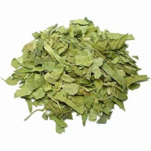 Gymnema Sylvestre Tea Leaves