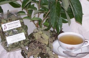 Persimmon Leaf Tea